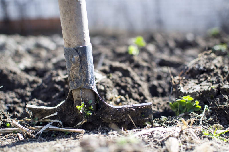 jardinerie-ST BLAISE-min_equipment-2047314